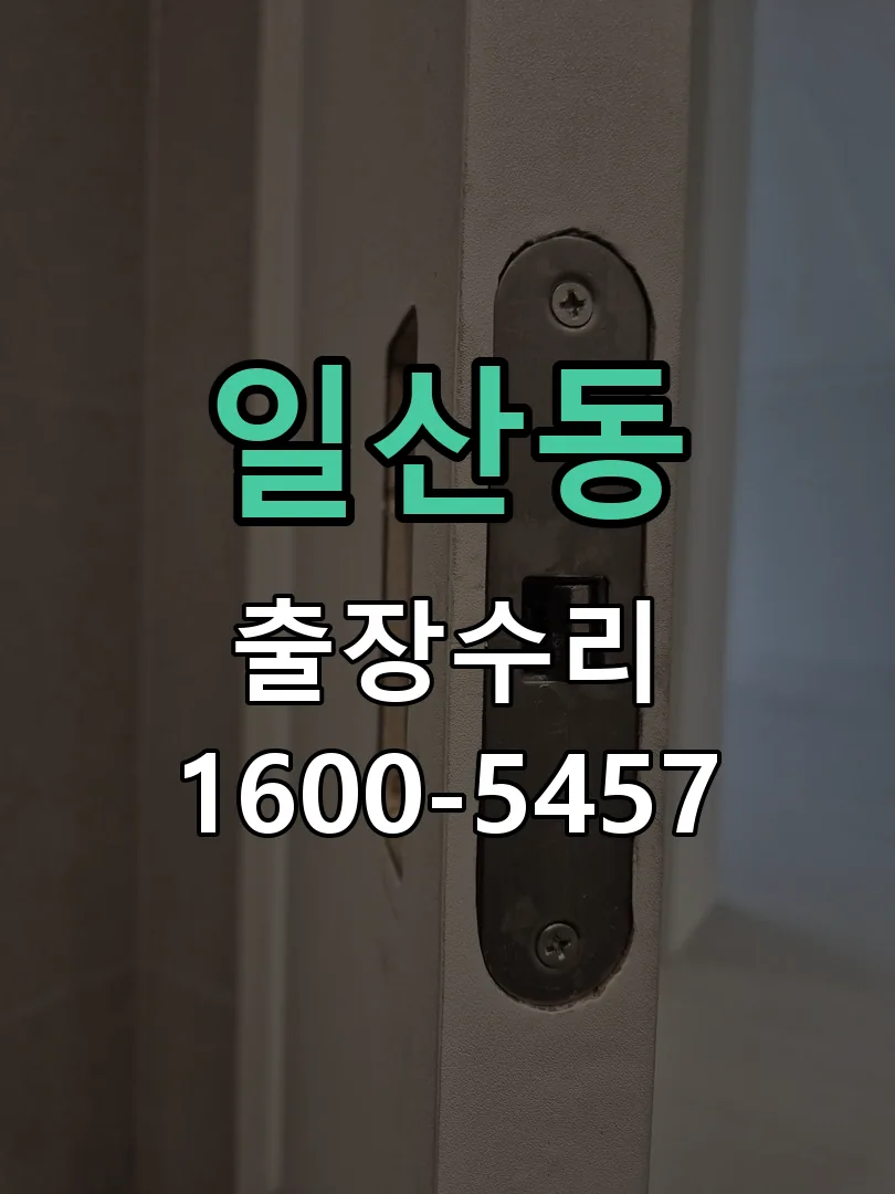 일산동 잠금장치 동작 확인
