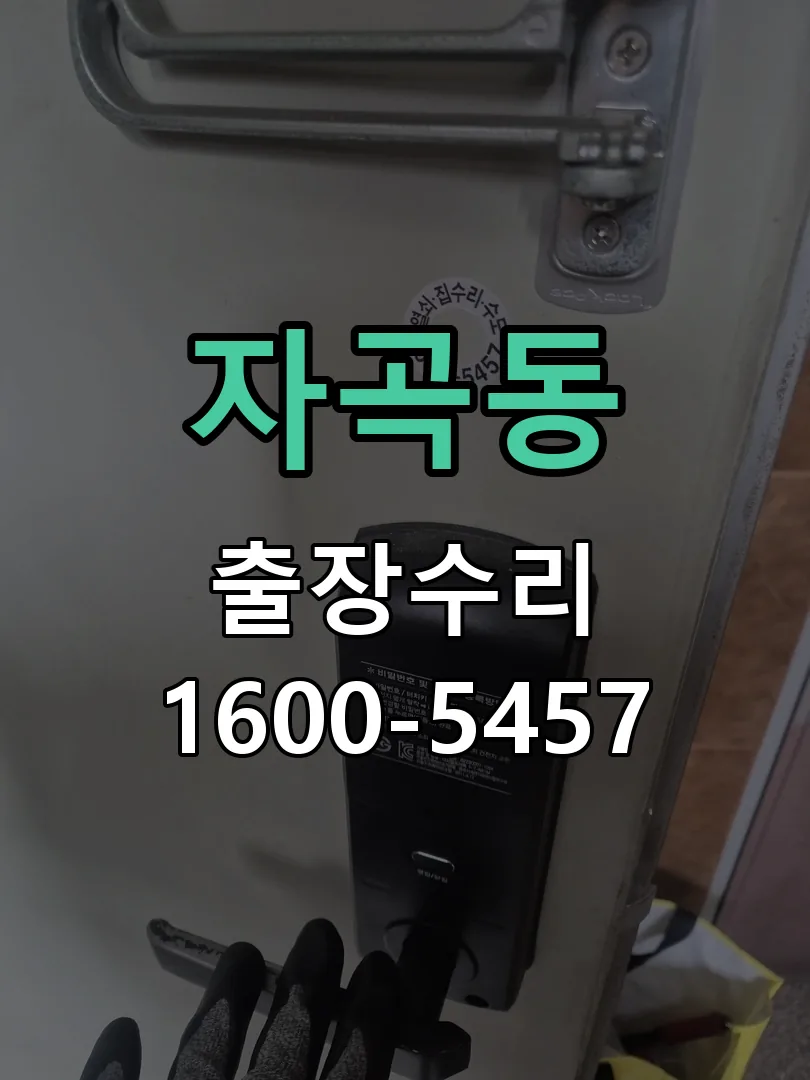 자곡동 잠금장치 동작 확인