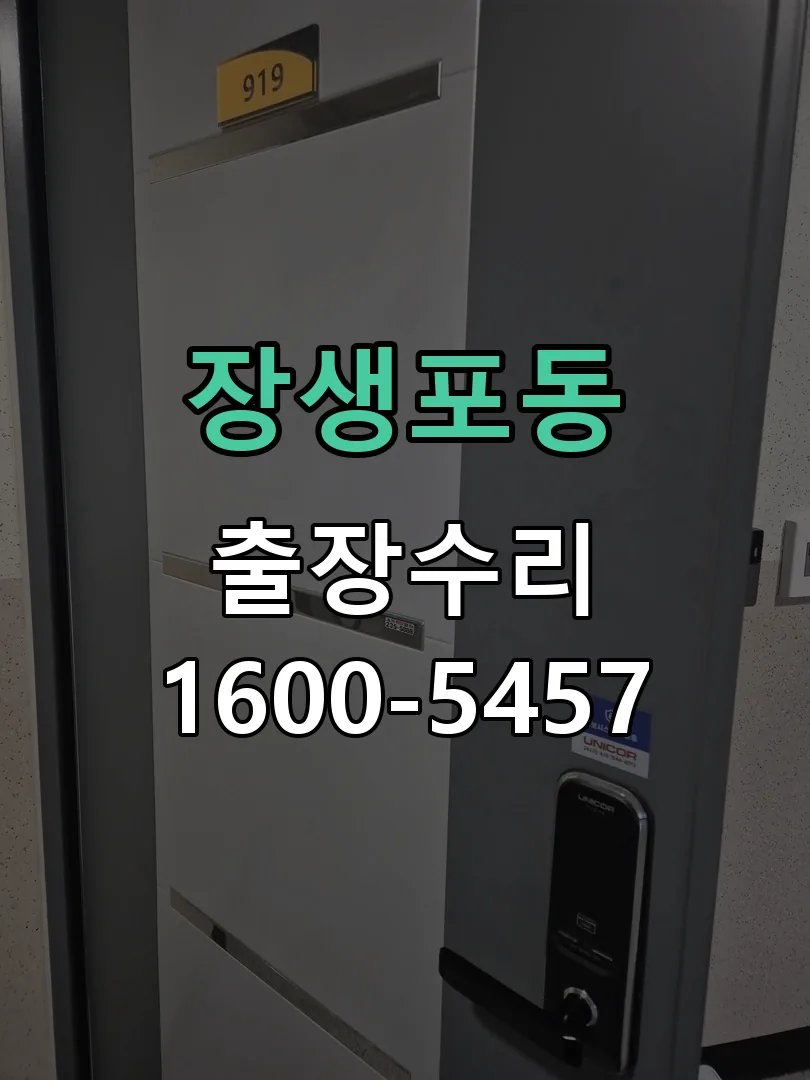 장생포동 도어락 열쇠 출장 수리