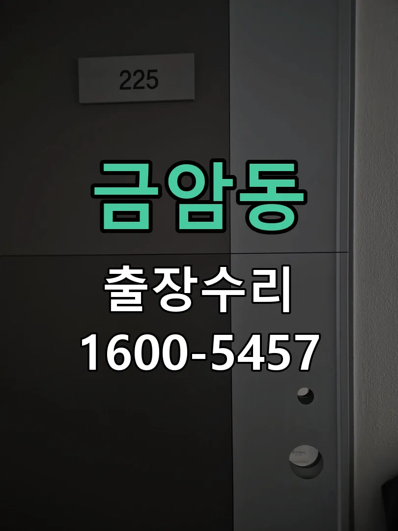 금암동 도어락 열쇠 출장 수리