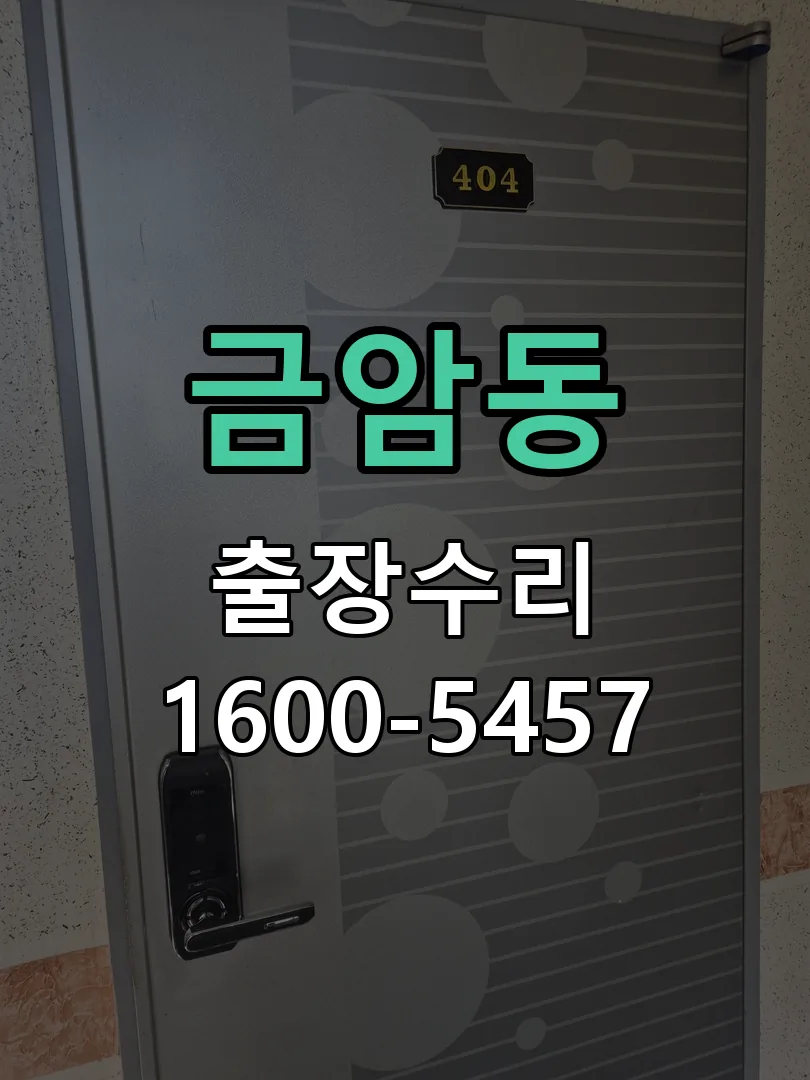 금암동 잠금장치 동작 확인