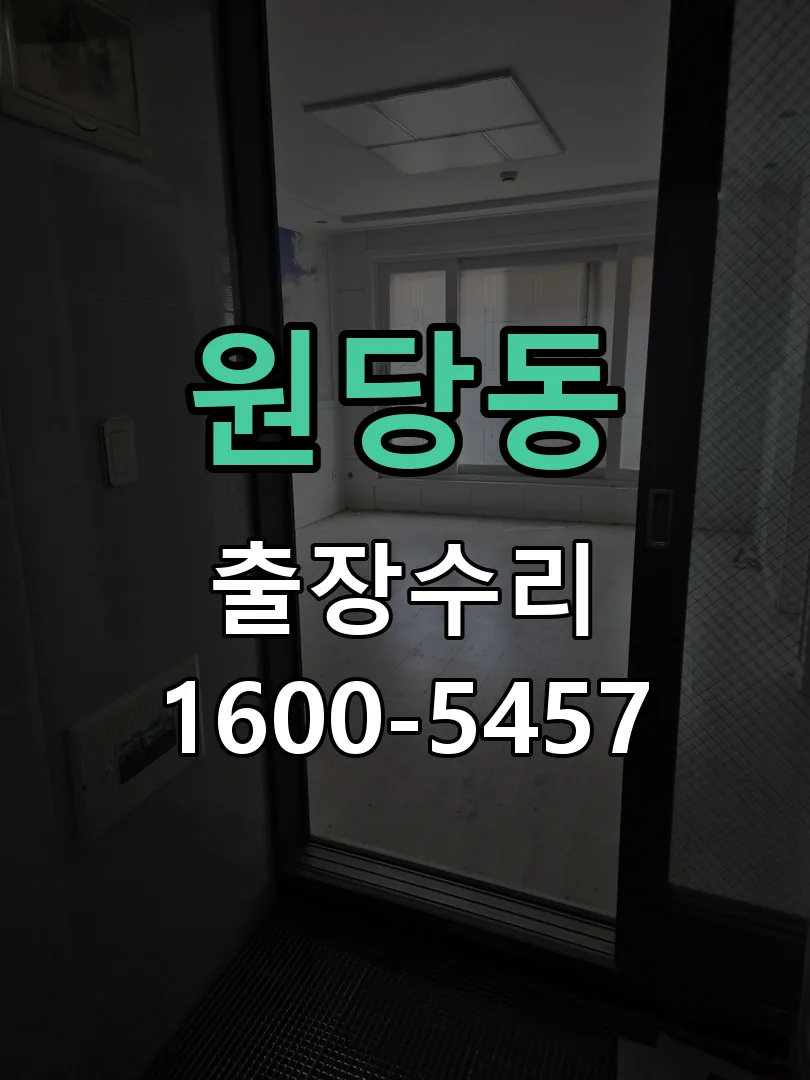 원당동 도어락 열쇠 출장 수리