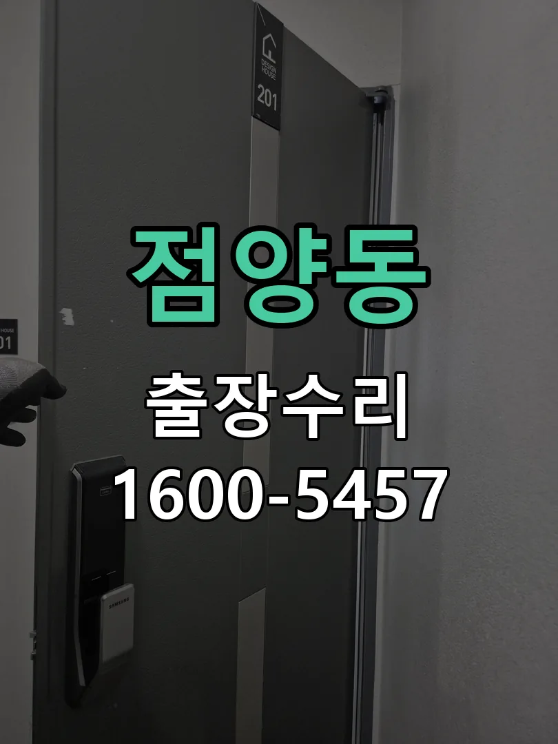 점양동 도어락 열쇠 출장 수리