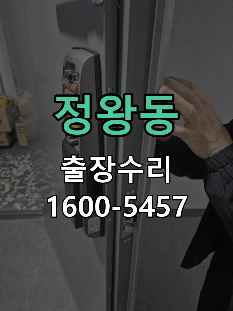 정왕동 잠금장치 동작 확인