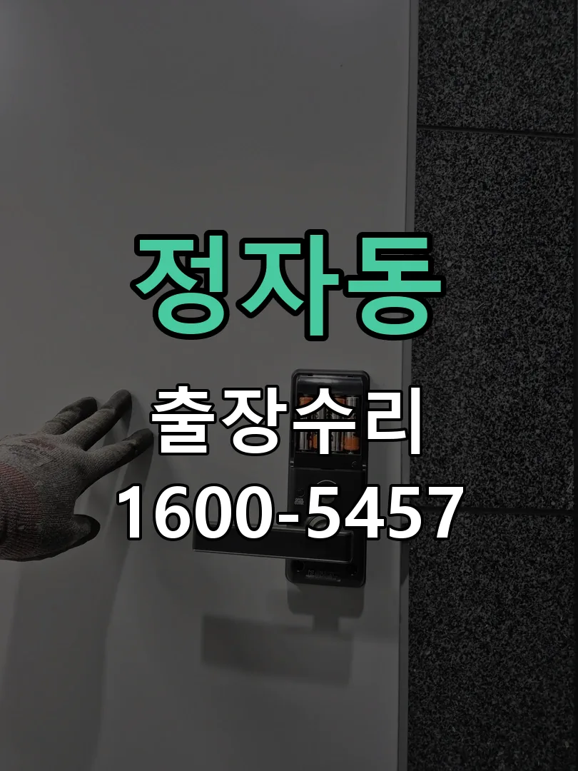 정자동 배선·접점 정리