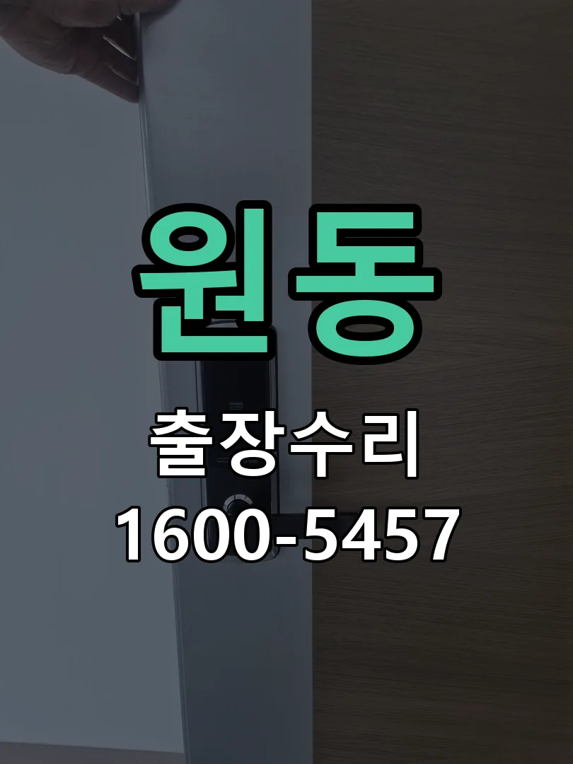 원동 도어락 열쇠 출장 수리