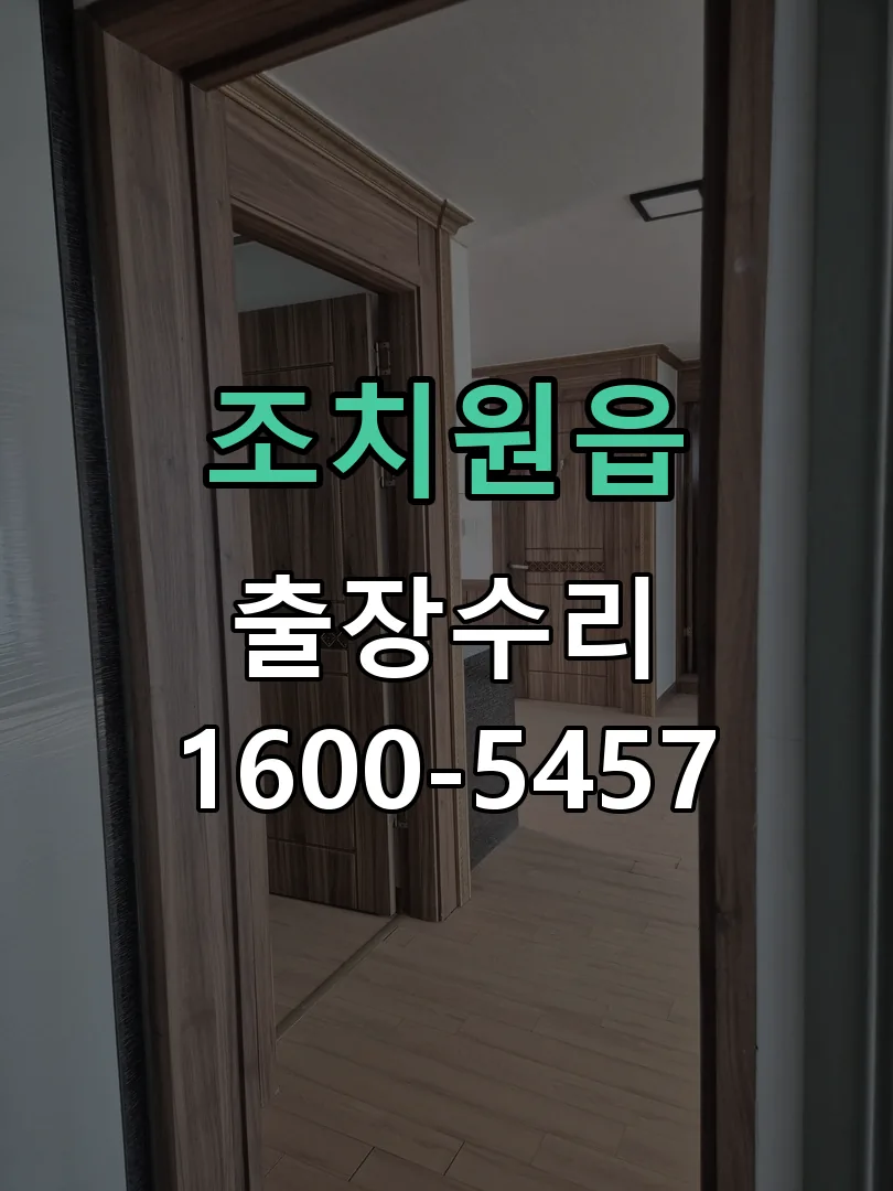 경기 도어락 열쇠 출장 수리