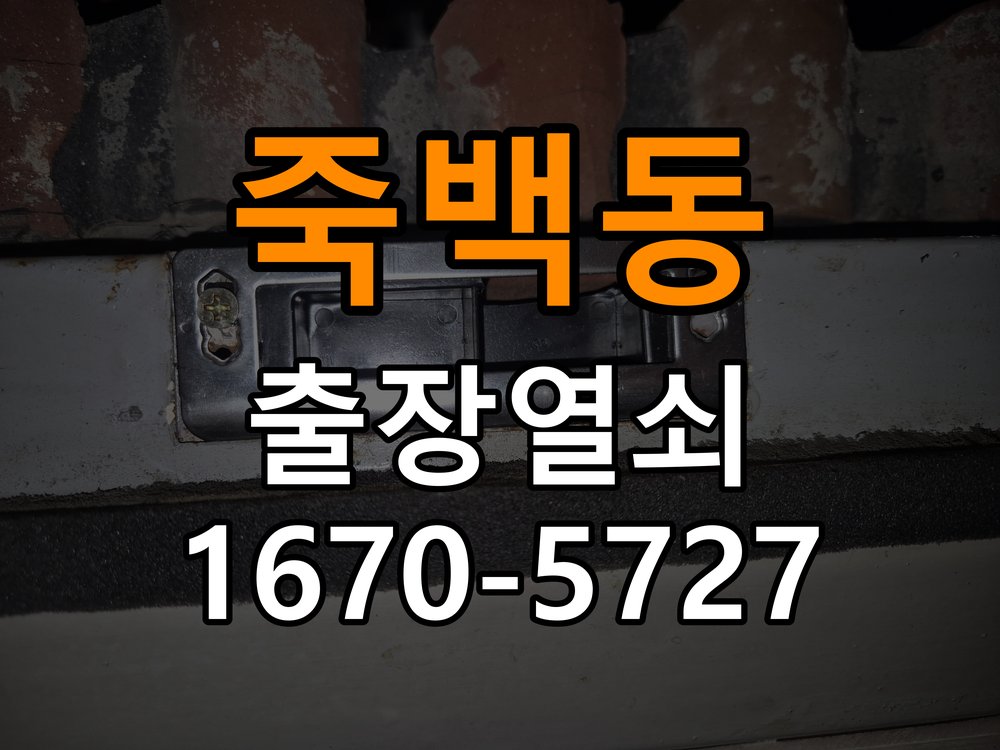 죽백동 창고 대문 개폐기 열쇠 고장 교체 주택 대문 개폐기 버튼을 눌러도 문이 열리지 않고 걸림 현장 출장