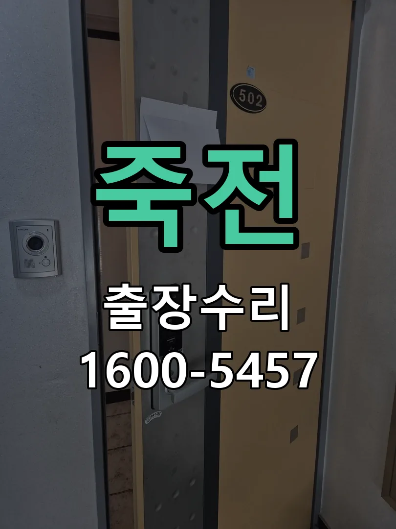죽전 배선·접점 정리