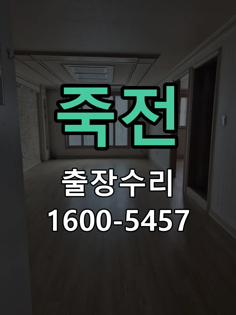 죽전 배선·접점 정리
