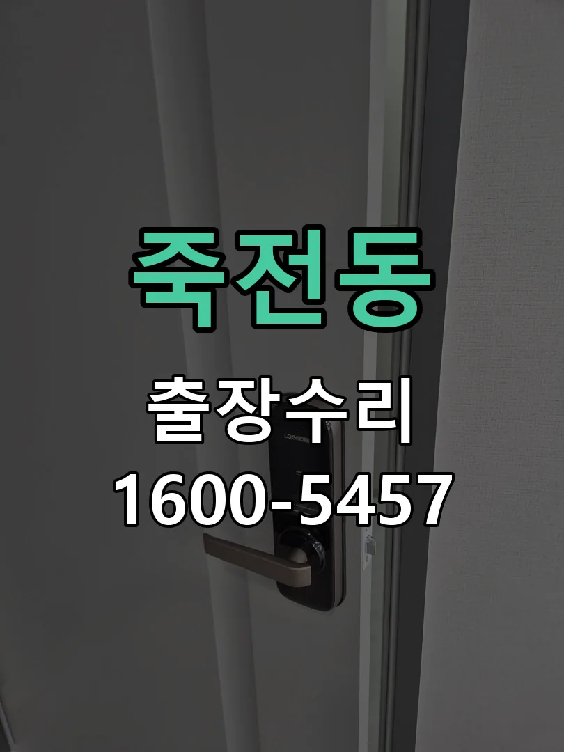 죽전동 잠금장치 동작 확인