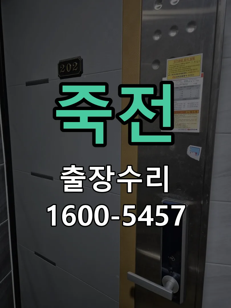 죽전 배선·접점 정리