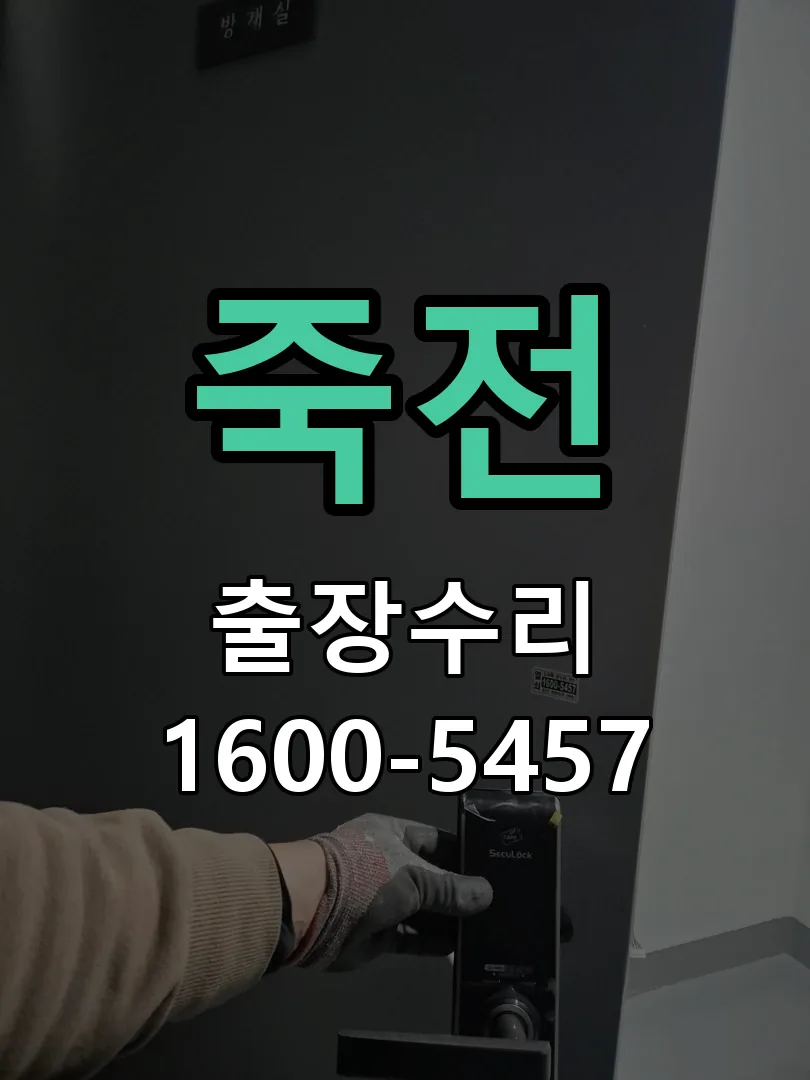 죽전 배선·접점 정리
