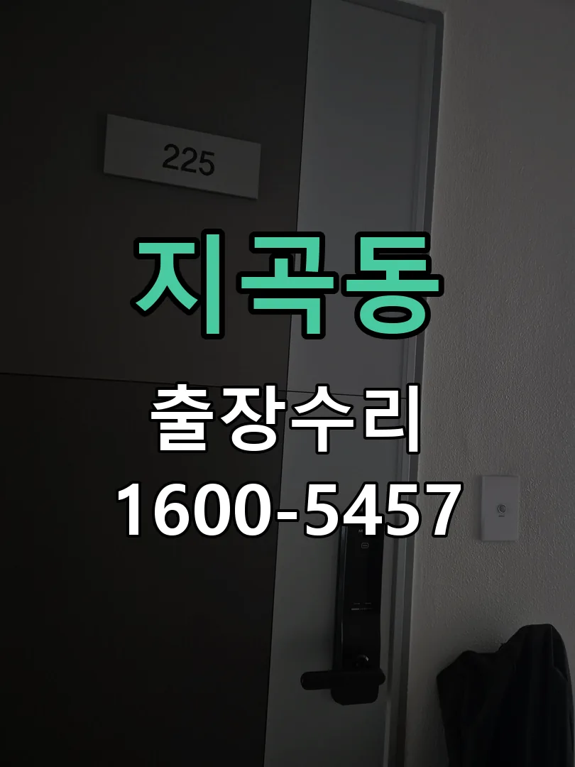 지곡동 열쇠가 헛돌고 잠금이 되지 않음 도어락 열쇠 출장 수리