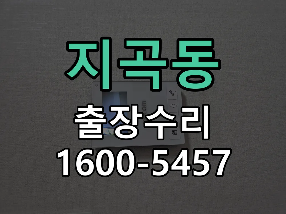 지곡동 열쇠가 헛돌고 잠금이 되지 않음 잠금장치 동작 확인