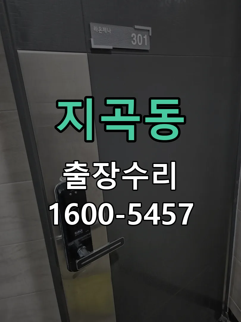지곡동 도어락 열쇠 출장 수리