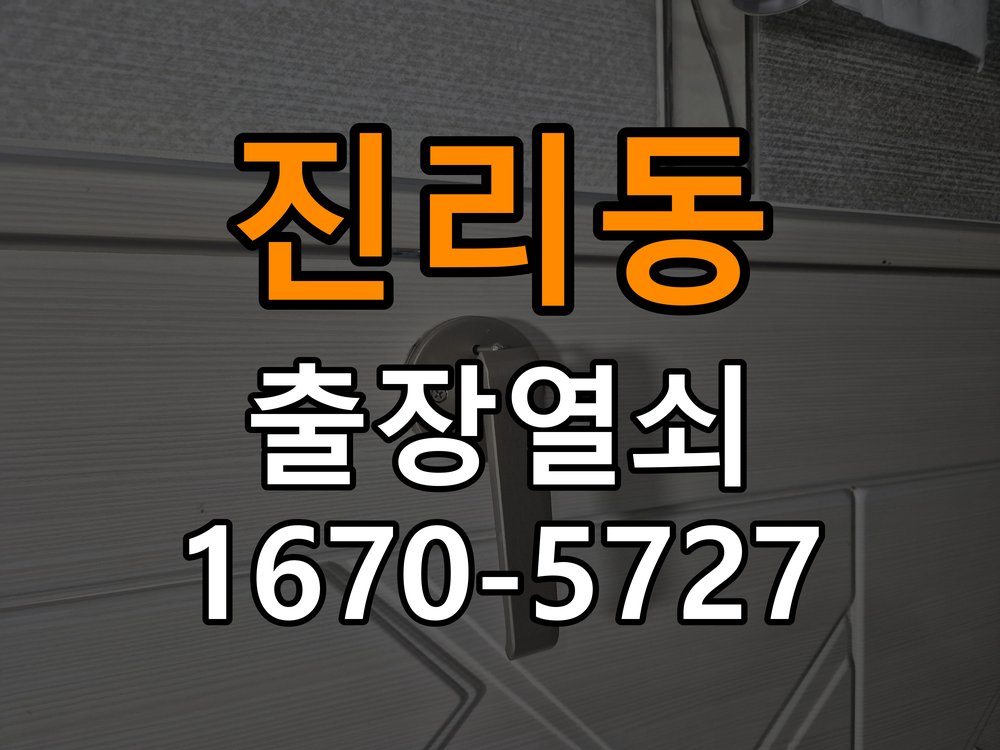 진리동 현관문 보조키 열쇠 분실 키통 교체 특수 딤플키 실린더 보조키 교체 정밀 점검 및 교체