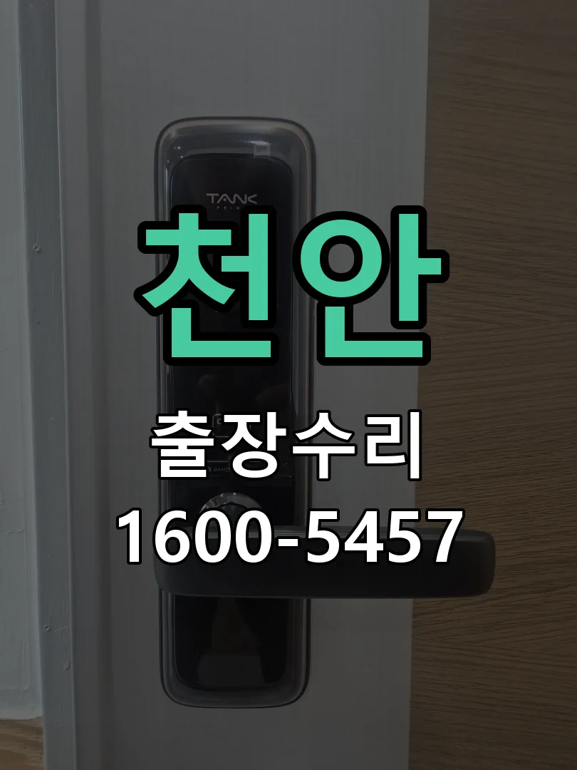 천안 잠금장치 동작 확인
