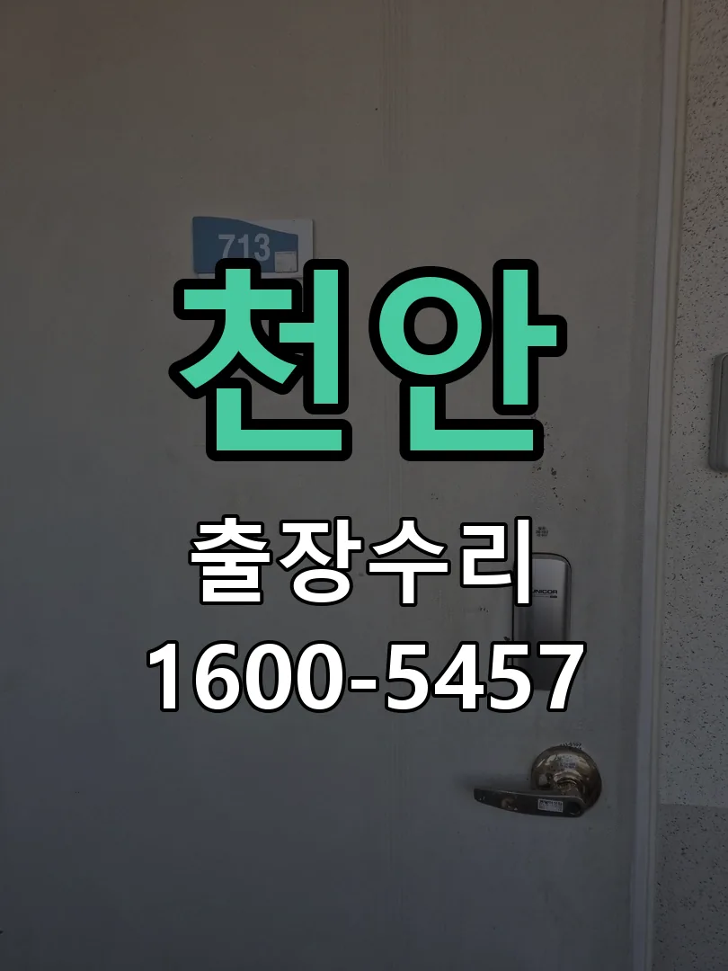 천안 잠금장치 동작 확인