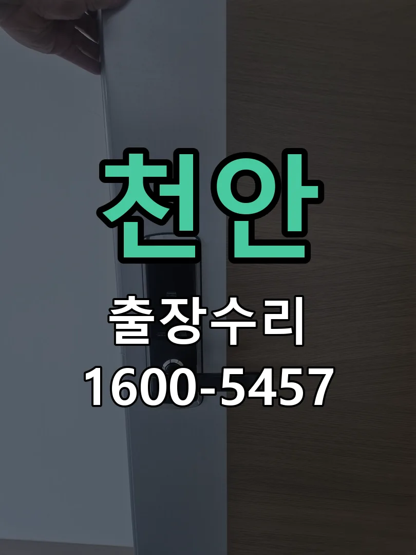 천안 잠금장치 동작 확인