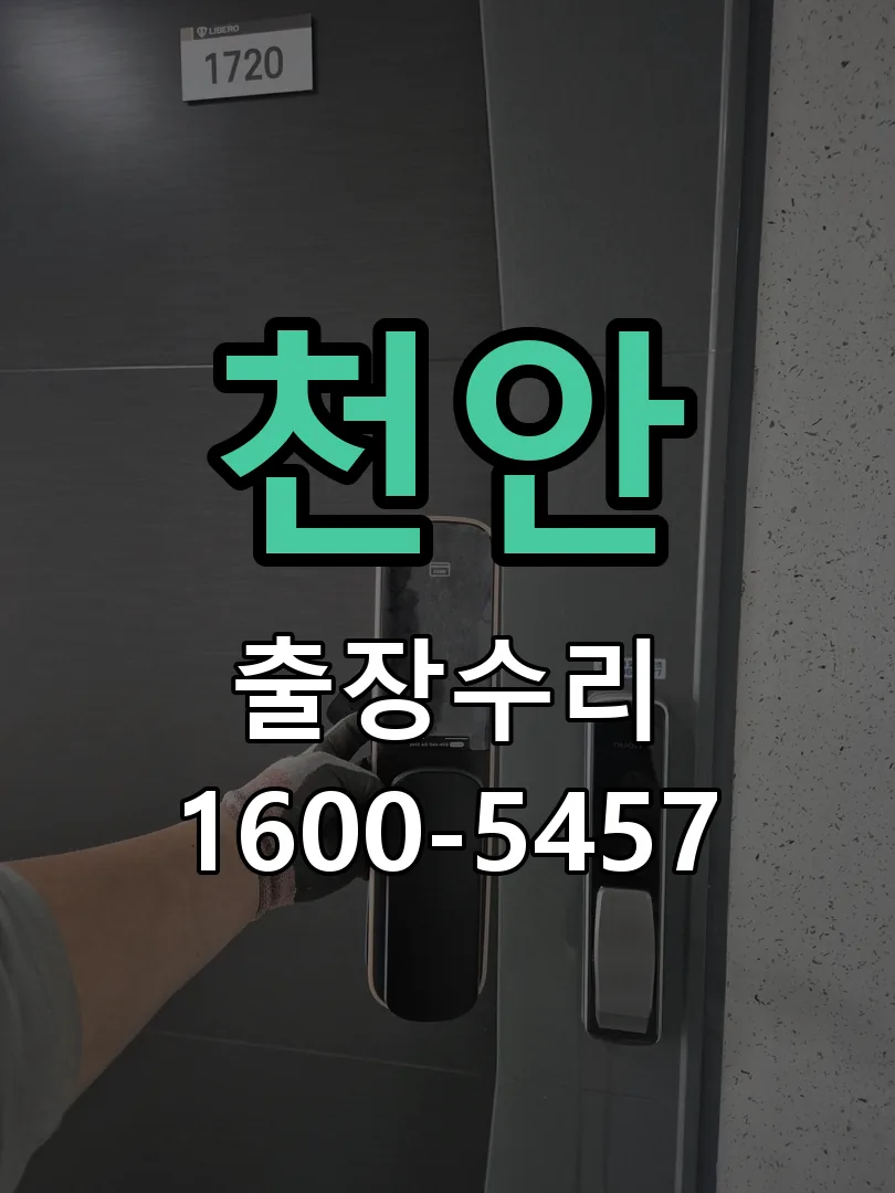 천안 잠금장치 동작 확인