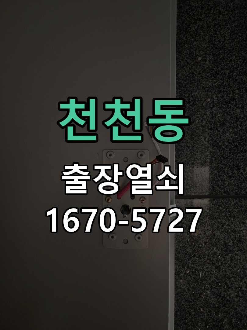 천천동 푸시풀 도어락 뻑뻑하고 걸릴때 수리 밀고 당길 때 과도한 힘이 들어가고 문이 부드럽게 열리지 않음 현장 출장