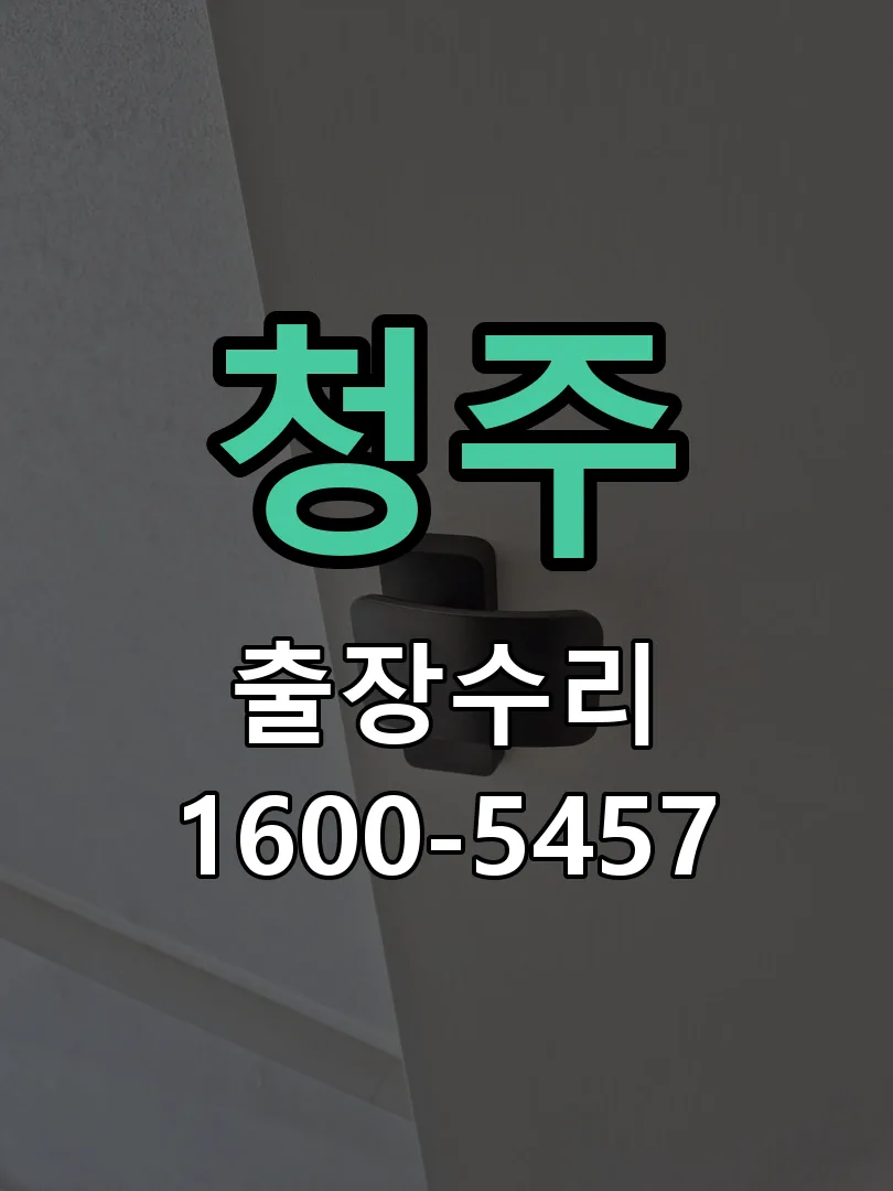 경기 도어락 열쇠 출장 수리
