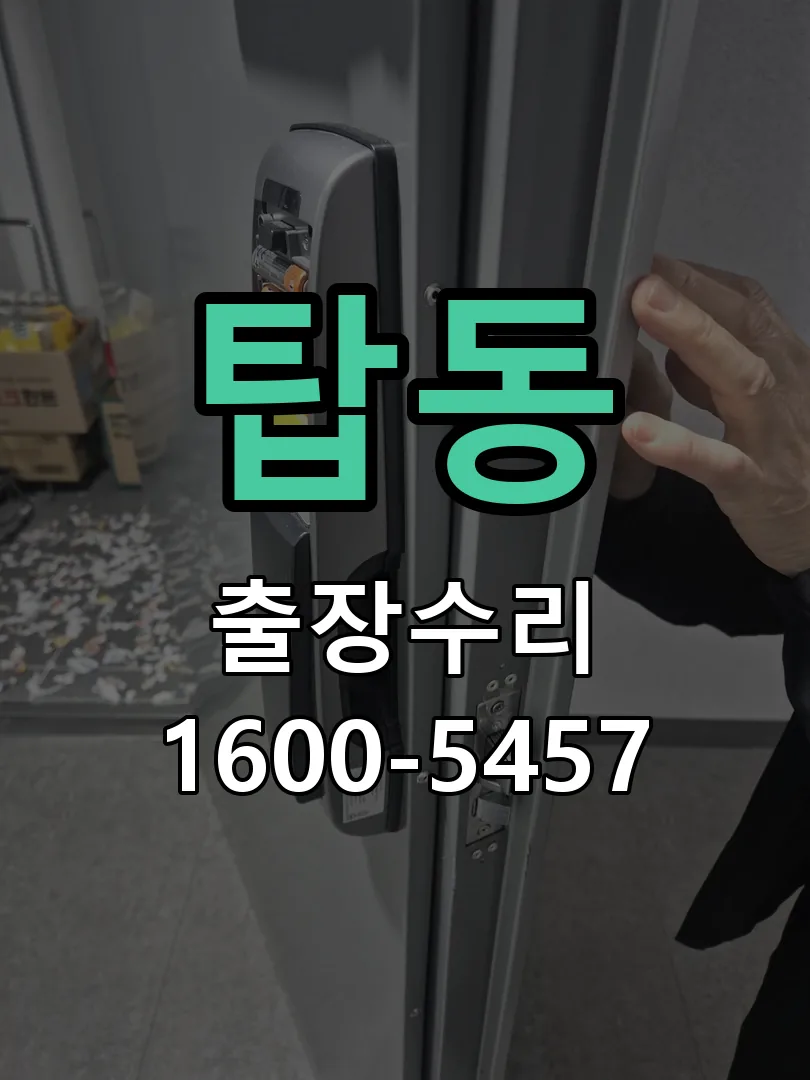탑동 배선·접점 정리