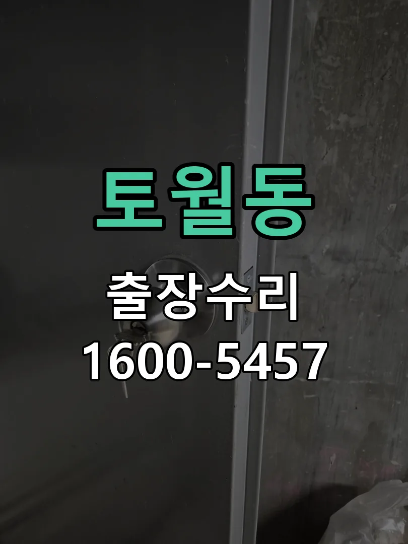 토월동 현장 도착 후 상태 확인