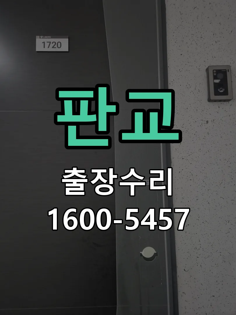 판교 배선·접점 정리