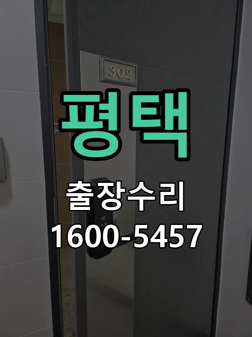 평택 잠금장치 동작 확인