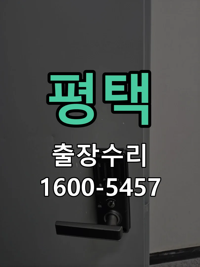 평택 잠금장치 동작 확인