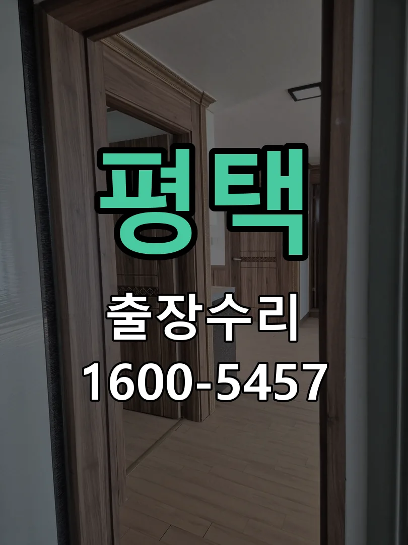 평택 잠금장치 동작 확인