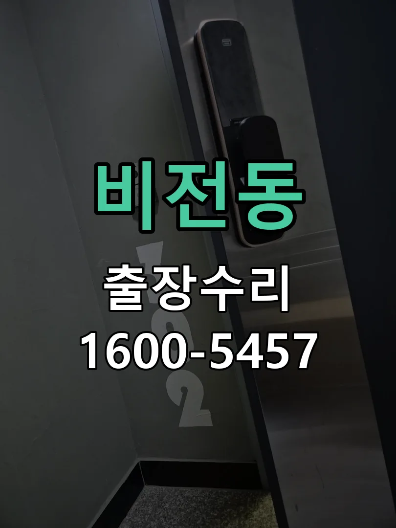 비전동 잠금장치 동작 확인