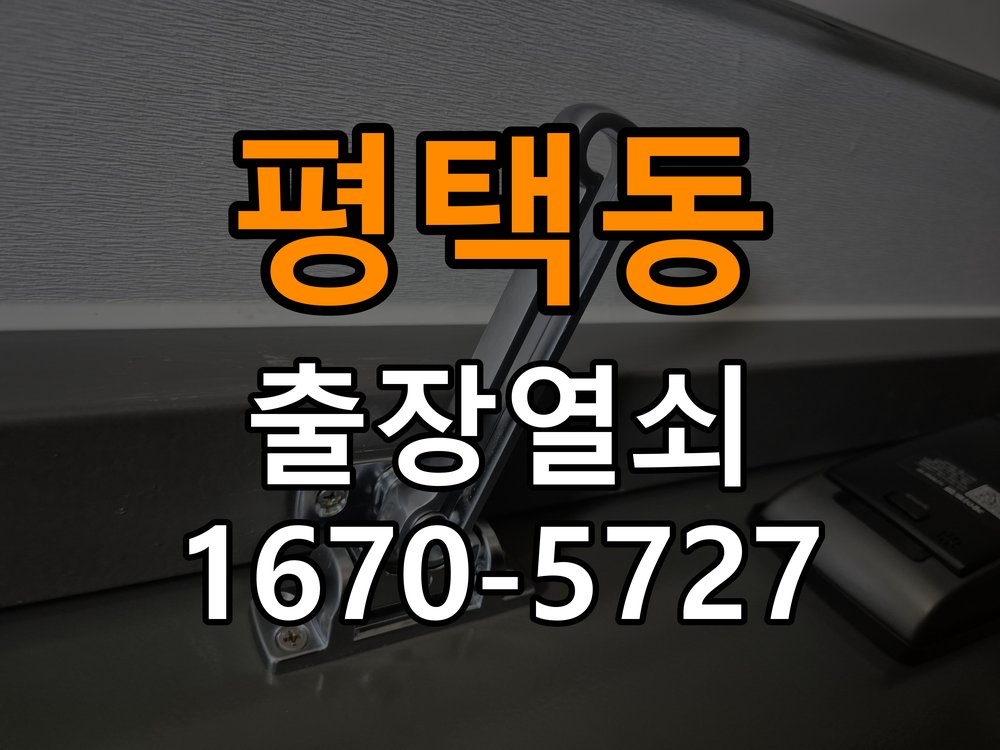평택동 보조키 특수키 안전고리 추가 설치 특수 핀 실린더 보조키 및 빗장형 고급 안전고리 정밀 점검 및 교체