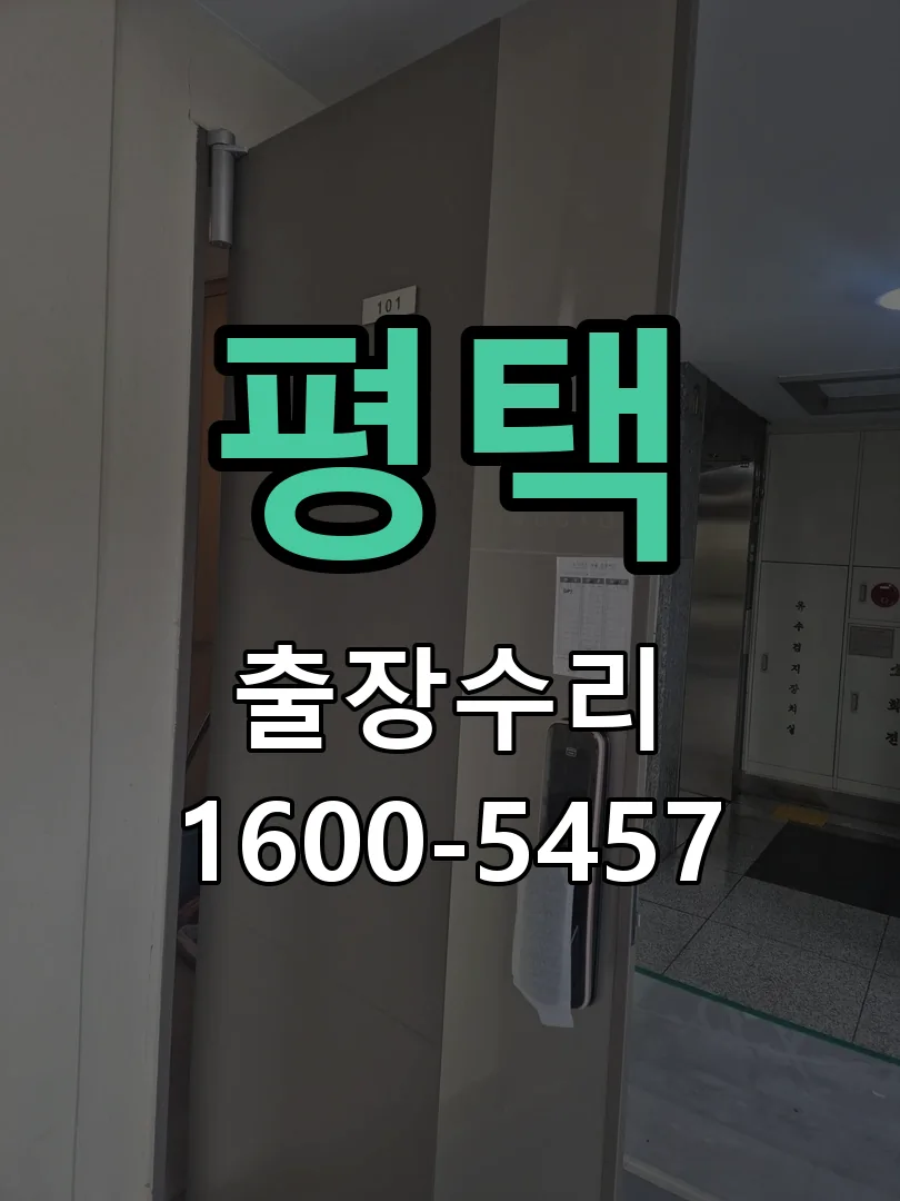평택 배선·접점 정리