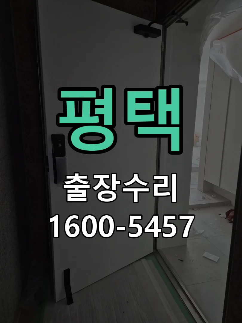 평택 잠금장치 동작 확인