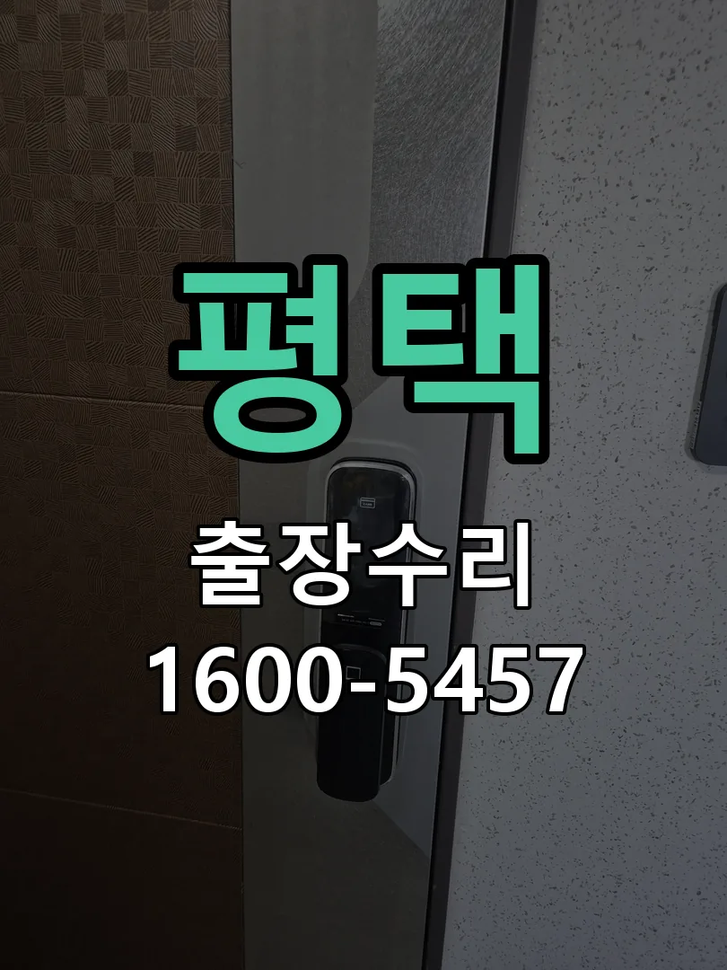 평택 잠금장치 동작 확인