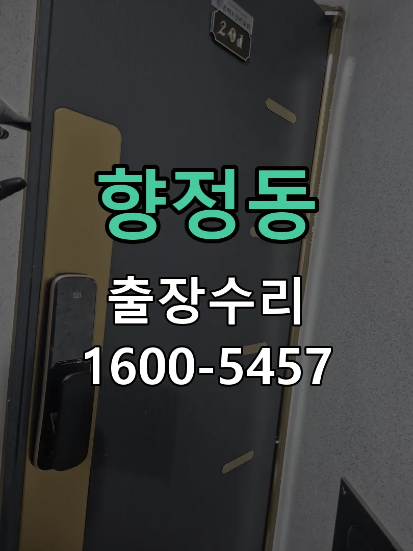 향정동 도어락 열쇠 출장 수리