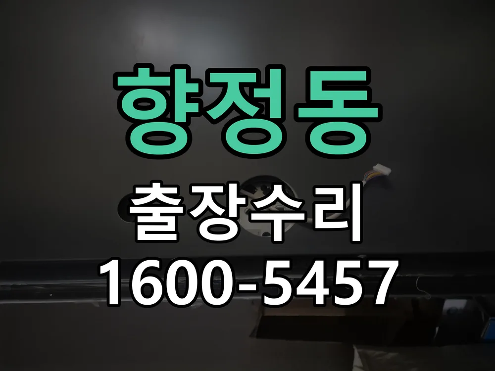 향정동 배선·접점 정리