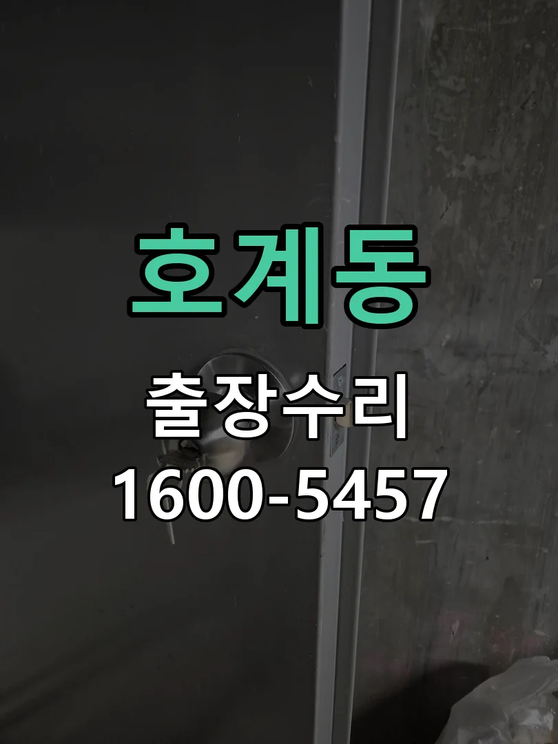 호계동 도어락 열쇠 출장 수리