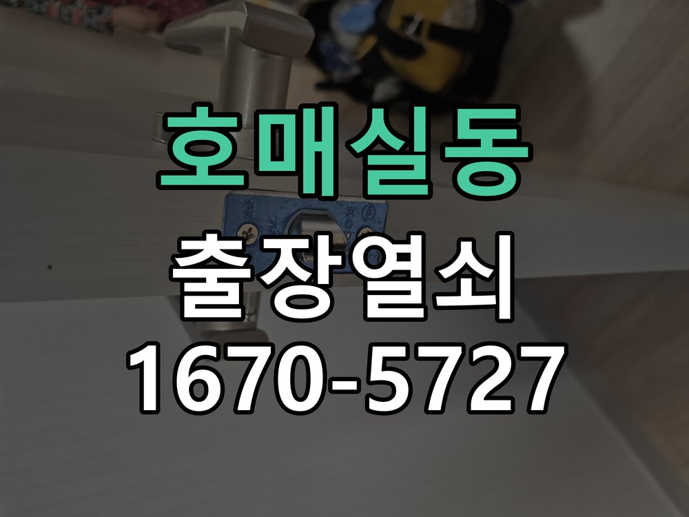 호매실동 화장실 핀 잠김 젓가락으로 안열릴때 작은 구멍에 핀이나 젓가락을 찔러 넣어도 래치가 풀리지 않음 현장 출장