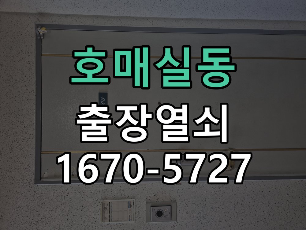 호매실동 화장실 핀 잠김 젓가락으로 안열릴때 실내문 전용 일체형 손잡이 래치 교체 정밀 점검 및 교체