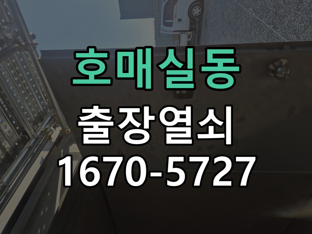 호매실동 화장실 핀 잠김 젓가락으로 안열릴때 작업 완료 후 정상 작동 확인