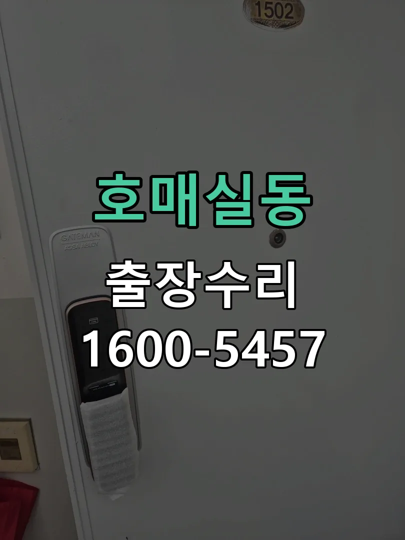 호매실동 도어락 열쇠 출장 수리