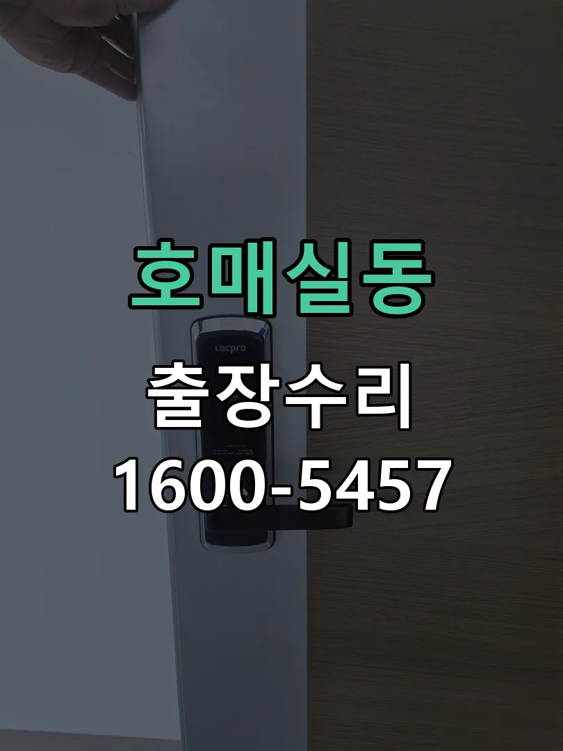 호매실동 현장 도착 후 상태 확인