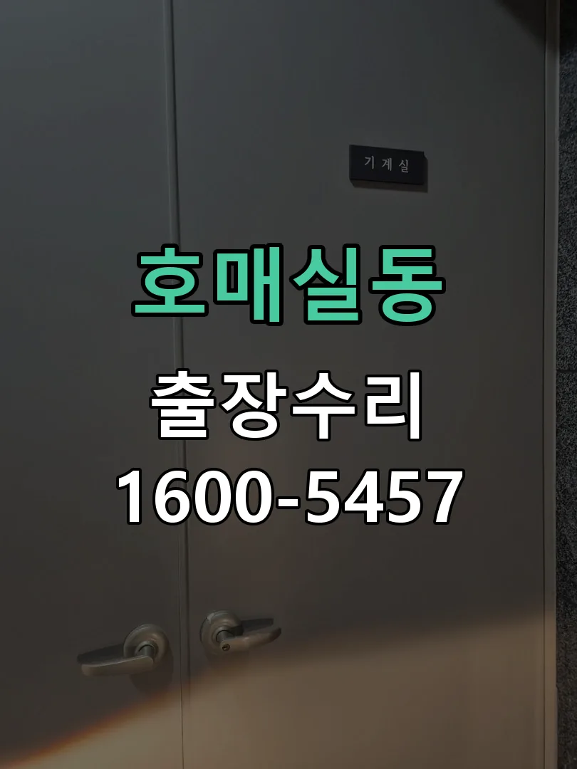 호매실동 잠금장치 동작 확인