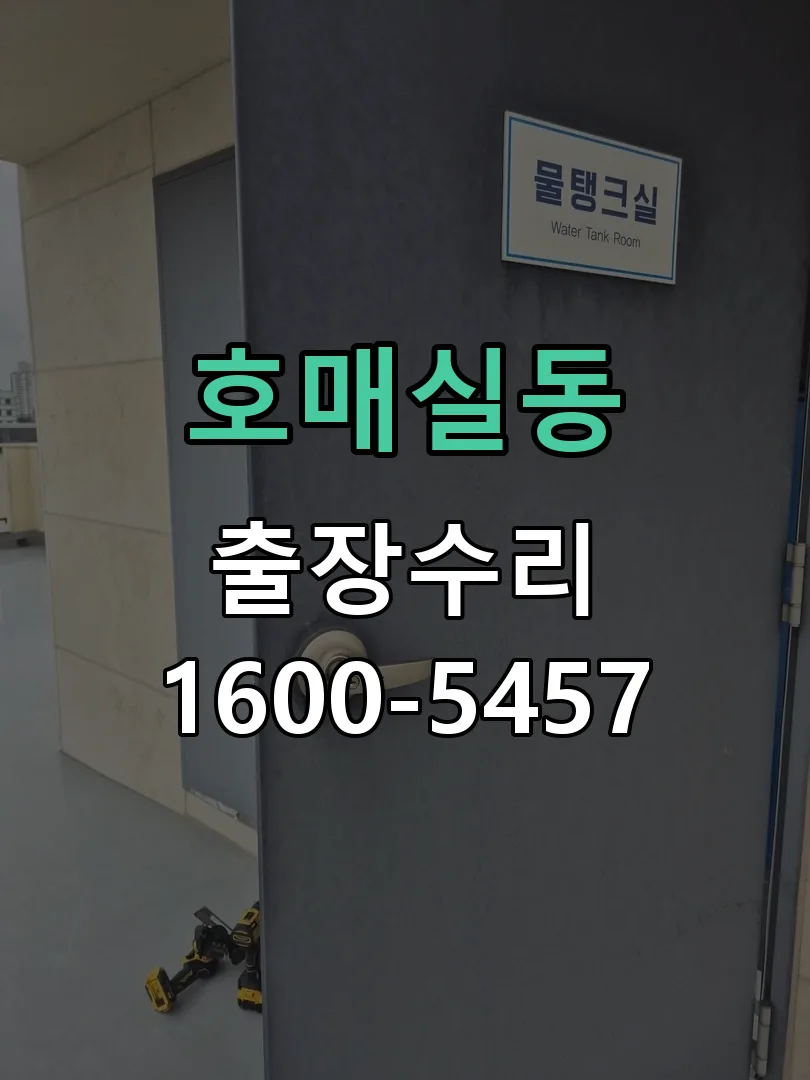 호매실동 도어락 열쇠 출장 수리