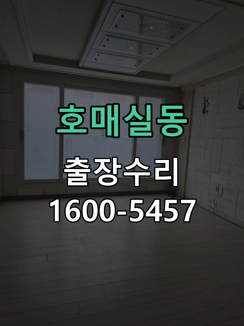 호매실동 잠금장치 동작 확인