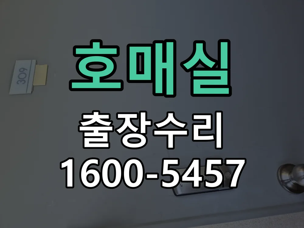경기 도어락 열쇠 출장 수리